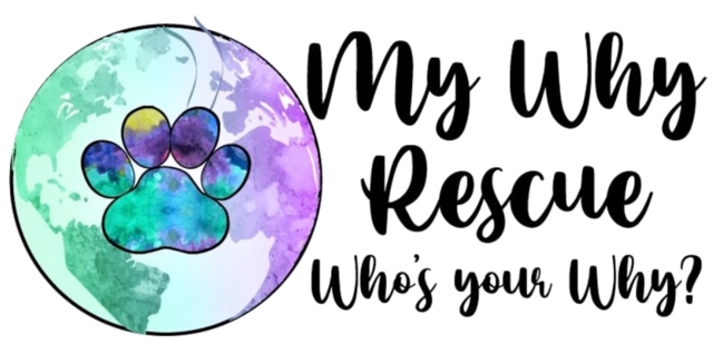 my why rescue