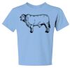Youth Dri Power ® 50/50 Cotton/Poly T Shirt Thumbnail