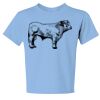 Youth Dri Power ® 50/50 Cotton/Poly T Shirt Thumbnail