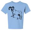 Youth Dri Power ® 50/50 Cotton/Poly T Shirt Thumbnail