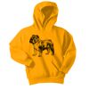 Youth Core Fleece Pullover Hooded Sweatshirt Thumbnail