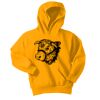 Youth Core Fleece Pullover Hooded Sweatshirt Thumbnail