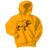 Youth Core Fleece Pullover Hooded Sweatshirt Thumbnail