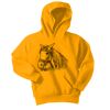 Youth Core Fleece Pullover Hooded Sweatshirt Thumbnail