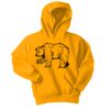 Youth Core Fleece Pullover Hooded Sweatshirt Thumbnail