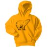 Youth Core Fleece Pullover Hooded Sweatshirt Thumbnail
