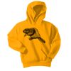 Youth Core Fleece Pullover Hooded Sweatshirt Thumbnail