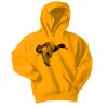 Youth Core Fleece Pullover Hooded Sweatshirt Thumbnail