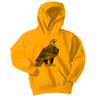 Youth Core Fleece Pullover Hooded Sweatshirt Thumbnail