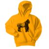 Youth Core Fleece Pullover Hooded Sweatshirt Thumbnail