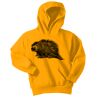 Youth Core Fleece Pullover Hooded Sweatshirt Thumbnail