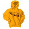 Youth Core Fleece Pullover Hooded Sweatshirt Thumbnail