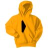 Youth Core Fleece Pullover Hooded Sweatshirt Thumbnail