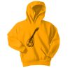 Youth Core Fleece Pullover Hooded Sweatshirt Thumbnail