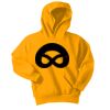 Youth Core Fleece Pullover Hooded Sweatshirt Thumbnail