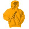 Youth Core Fleece Pullover Hooded Sweatshirt Thumbnail
