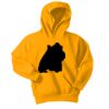Youth Core Fleece Pullover Hooded Sweatshirt Thumbnail