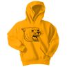 Youth Core Fleece Pullover Hooded Sweatshirt Thumbnail